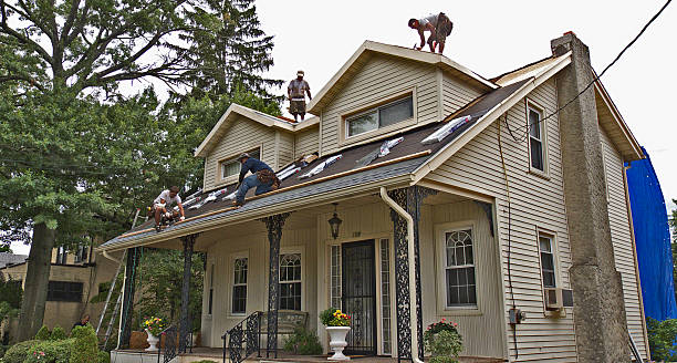 Roof Gutter Cleaning in Highland Lakes, AL
